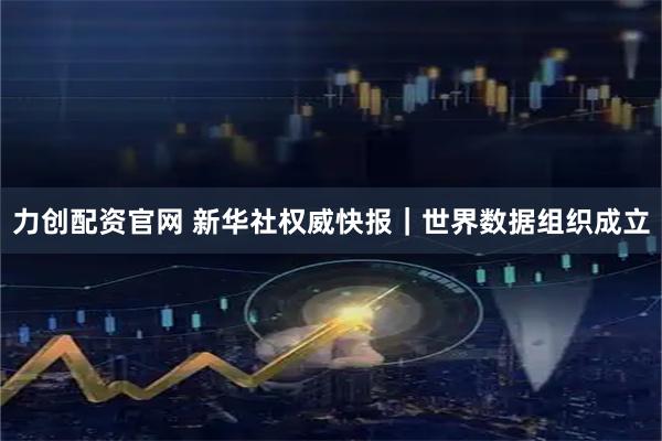 力创配资官网 新华社权威快报｜世界数据组织成立