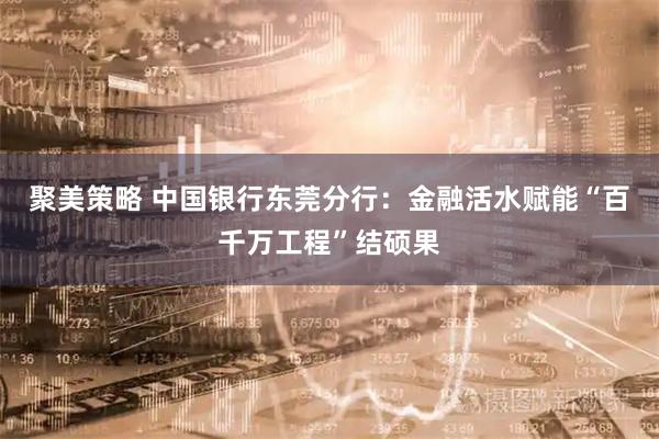 聚美策略 中国银行东莞分行：金融活水赋能“百千万工程”结硕果