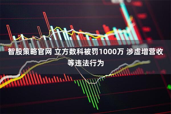 智股策略官网 立方数科被罚1000万 涉虚增营收等违法行为