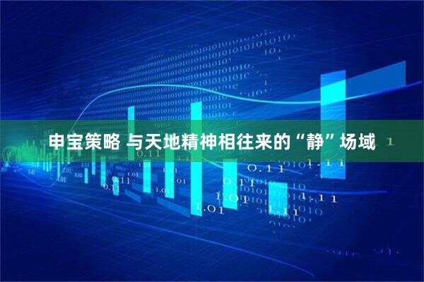 申宝策略 与天地精神相往来的“静”场域